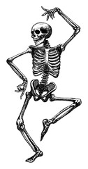 funny skeleton dance isolated hand drawn sketch dynamic pose card design element line art detailed vector illustration