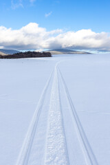 Snowmobile tracks left in the snow