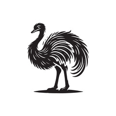 Black Color Ostrich silhouette design Vector Illustration, Solid White Background (8).eps