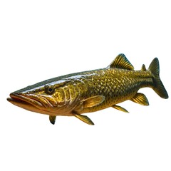 Fototapeta premium Untitled design - 1Mackerel fish. isolated object, transparent background.Pike fish isolated on transparent background Generative Ai .