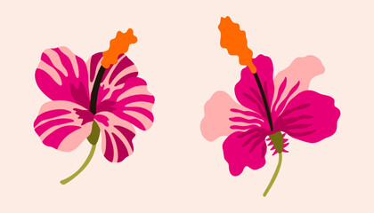 Mid Century tropical flower hibiscus. Jungle exotic plant. Texture with stripes. Aloha vector for poster, background, decor. © Caramela