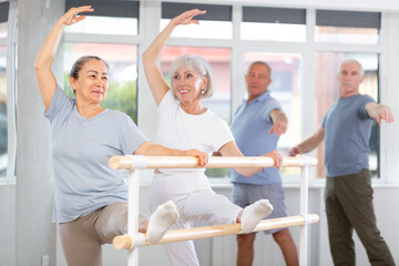Two diligent mature women doing leg stretching exercise holding by ballet barre during workout session © JackF