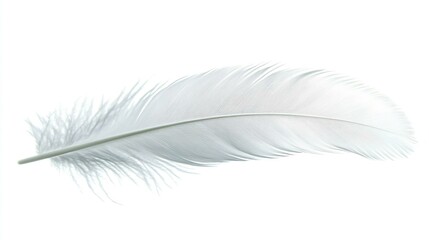 Fototapeta premium White feather floating isolated on transparent background. Cutout.