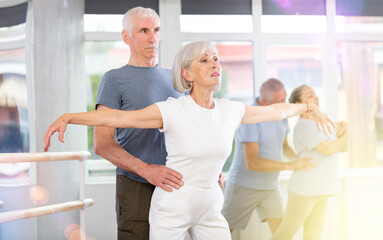 Fototapeta premium Diligent mature woman practicing ballet positions in pair with man in dancehall during dancing classes