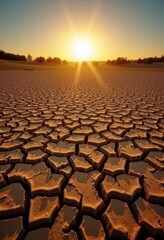 Fototapeta premium Sunset over a cracked, dry earth. A stark landscape showcasing the effects of drought and aridity. The setting sun casts long shadows across the parched ground.