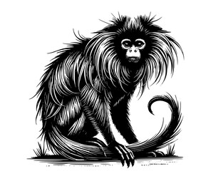 Silhouette of a lutung 