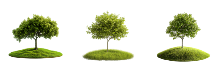 Lush Green Tree Illustration – Nature Landscape, Eco-Friendly Concept, 3D Realistic Tree, Isolated on Transparent Background