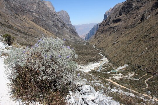 Image from the trekking experience to Paron Lake at Huascaran National Park, Cordillera Blanca Range in Ancash, Peru.