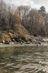 Carkeek Park beach on autumn day