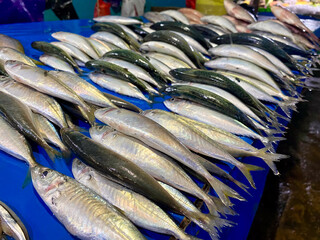 A close-up view of a colorful array of fresh fish on display at a seafood market, showcasing their vibrant textures and colors