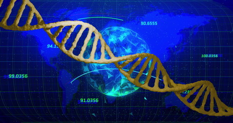 Image of dna strand, globe and data processing