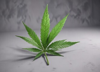 A single marijuana leaf with vibrant green color and a pointed tip, weed, farming, rural