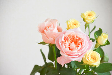 ピンクと黄色のばら