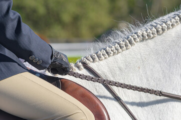 Detail of hands holding horse reins at youth show jumping competition © Mark J. Barrett