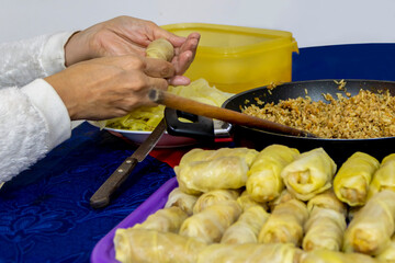 Woman cooking traditional dish. A preparing a delicious meal. Meal time