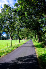footpath in the park