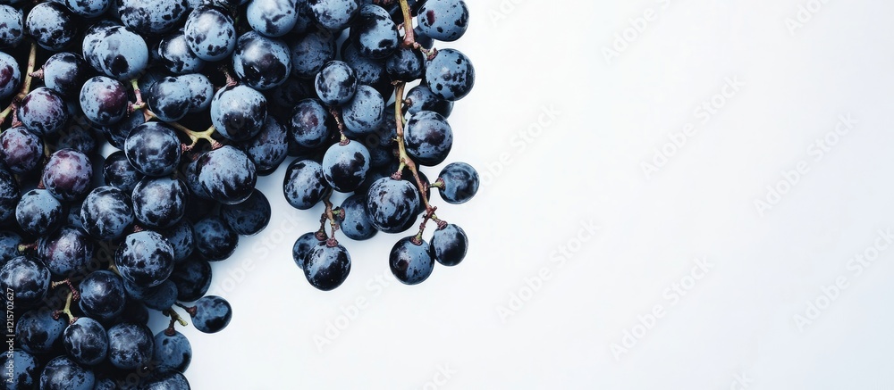 Poster fresh black grapes with drops of water on a light background with ample copy space for text placemen