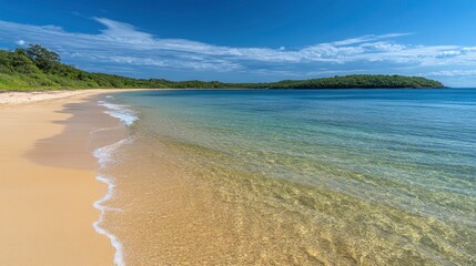Obraz premium Serene beach landscape with clear water, golden sand, and lush greenery under a bright blue sky