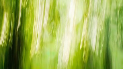 Abstract green nature blur background, bokeh effect, sunlight through leaves.