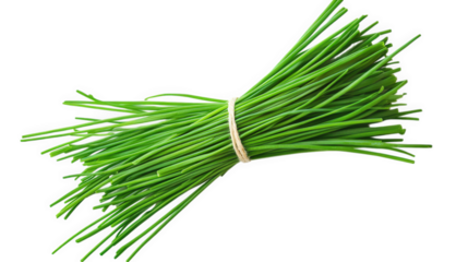 a fresh bunch of green chives tied together. showcasing their vibrant color and slender shape. commonly used as a culinary herb for garnishing and flavoring dishes
