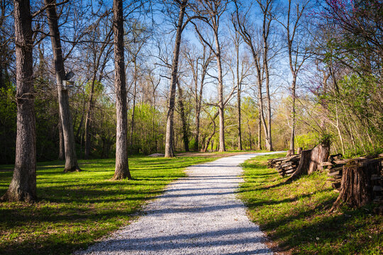 The Great Missouri Birding Trail in Springfield, Missouri, is divided into six regions with excellent bird-watching spots.