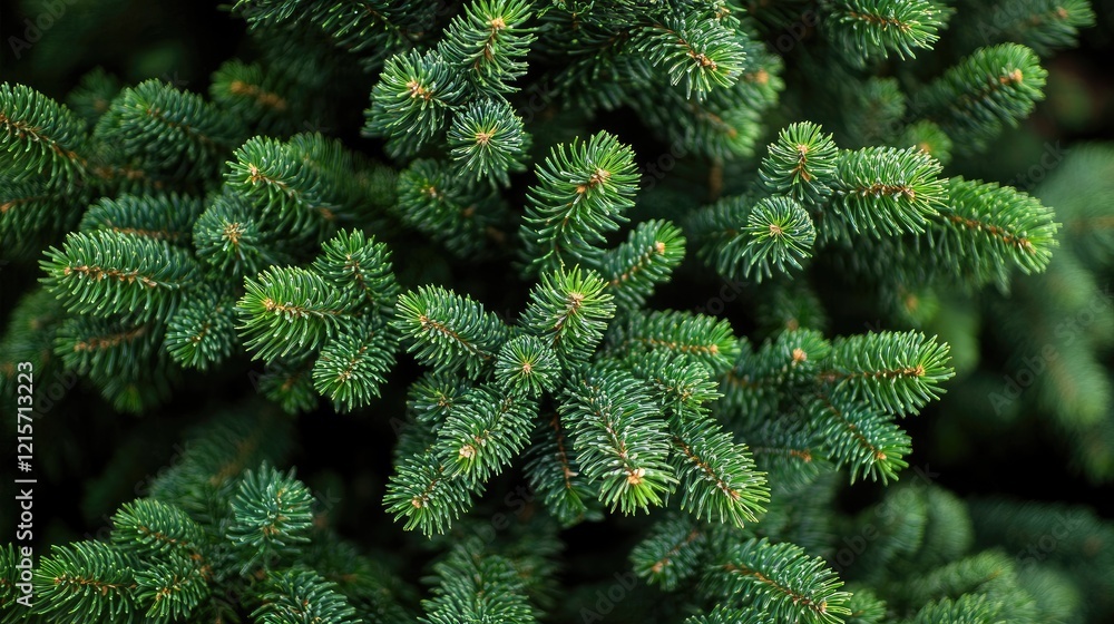 Poster close-up of fresh green pine tree branches with dense foliage and visible needle texture on a blurre