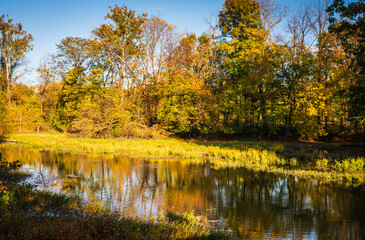 The Boardwalk Trail at the Springfield Conservation Nature Center in Springfield, Missouri s a 2.1 loop in the forest.