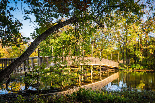 The Boardwalk Trail at the Springfield Conservation Nature Center in Springfield, Missouri s a 2.1 loop in the forest.