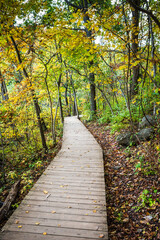 Obraz premium The Boardwalk Trail at the Springfield Conservation Nature Center in Springfield, Missouri s a 2.1 loop in the forest.