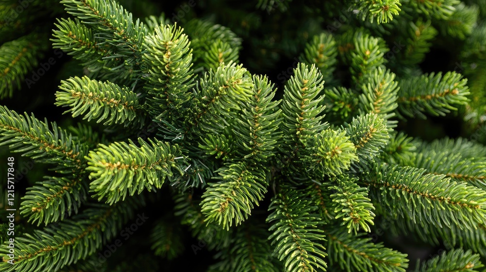Poster close-up of fresh evergreen tree branch with detailed needle texture and vibrant green color suitabl