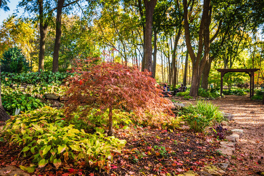 The Nathaniel Green Park in Springfield, Missouri features landscaped botanical gardens, with BBQ/picnic areas, a lake and a native butterfly house..