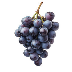 a cluster of dark purple grapes hangs against a white background. showcasing their smooth texture and natural sheen  fruit's round shape and vibrant color. making it visually appealing for culinary or