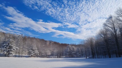 Winter landscape featuring snow-covered trees under a vibrant blue sky with dynamic cloud patterns in a serene rural setting