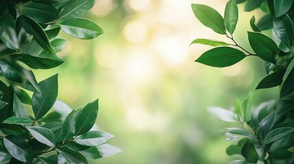 Obraz premium Tropical Leaves Frame Composition with Soft Green Background Ideal for Eco-Friendly Designs and Modern Nature-Inspired Decor