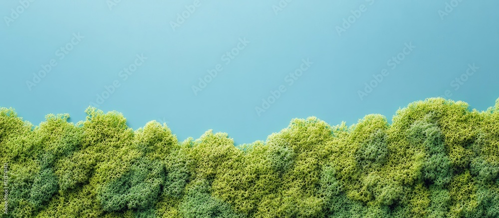 Poster lush green moss texture on a soft blue background creating a serene nature-inspired backdrop with sp