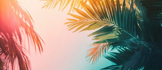 Obraz premium 80s Adventure Theme with Lush Tropical Palm Leaves and Vibrant Colors Ideal for Travel and Escape Concepts with Text Space