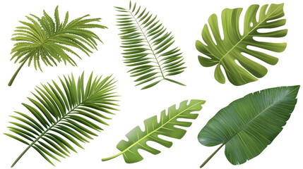 Tropical Leaves on Clear Background Generative AI