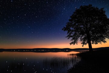 Naklejka premium Starry Night Lake Landscape with Silhouetted Tree