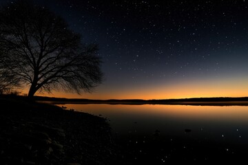 Naklejka premium Starry Night Lake Landscape Peaceful Sunset Tree Silhouette