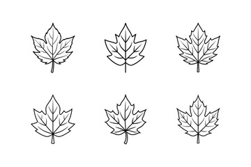 fall leaf icon vector line art illustration