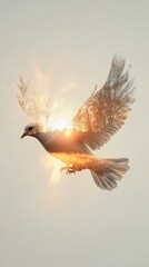 Obraz premium Sunrise Dove: A Serene Flight Through Nature's Embrace