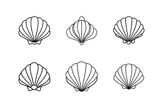 seashell icon vector line art illustration