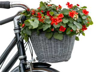 A bicycle with a basket full of flowers, cut out. Isolated on transparent or white background