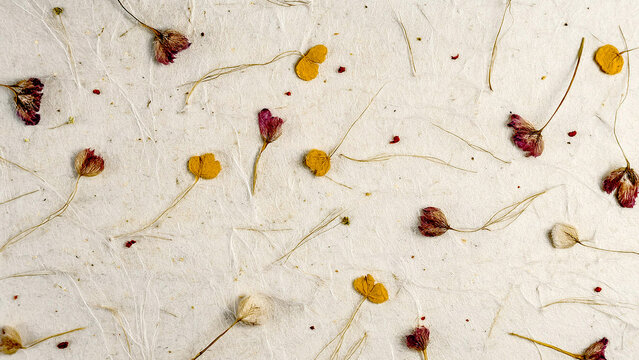 Textura de papel reciclado rugoso con flores secas