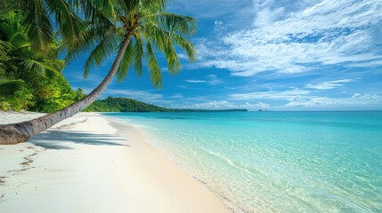 Tropical Paradise: Idyllic Beach Scene with Palm Tree
