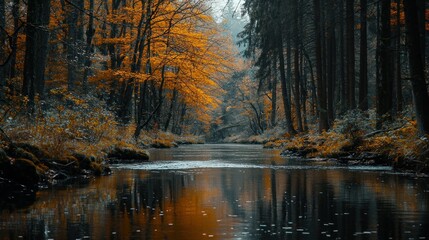 Autumnal River Reflections in a Mystical Forest