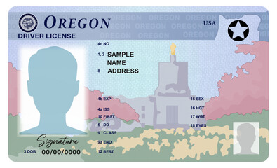 Oregon driver's license isolated on white background. Person State driver's license ID .
