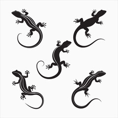 Obraz premium lizard silhouettes in black color simple and clean vector illustration
