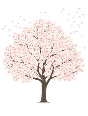 Fototapeta premium Beautiful watercolor illustration of a blooming cherry blossom tree in springtime