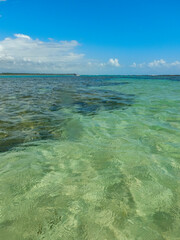 Coral Reefs and Crystal Clear Waters in Maragogi, Alagoas, Brazil on July 24, 2020.